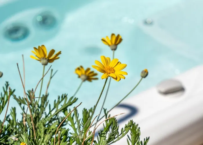 Le Refuge Du Maquis Hébergement de vacances *