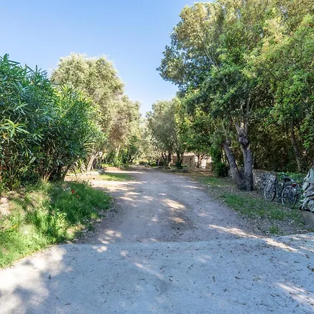 Le Refuge Du Maquis Дом отдыха Бонифачо