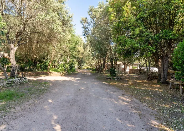 Vakantiehuis Le Refuge Du Maquis Bonifacio (Corsica)